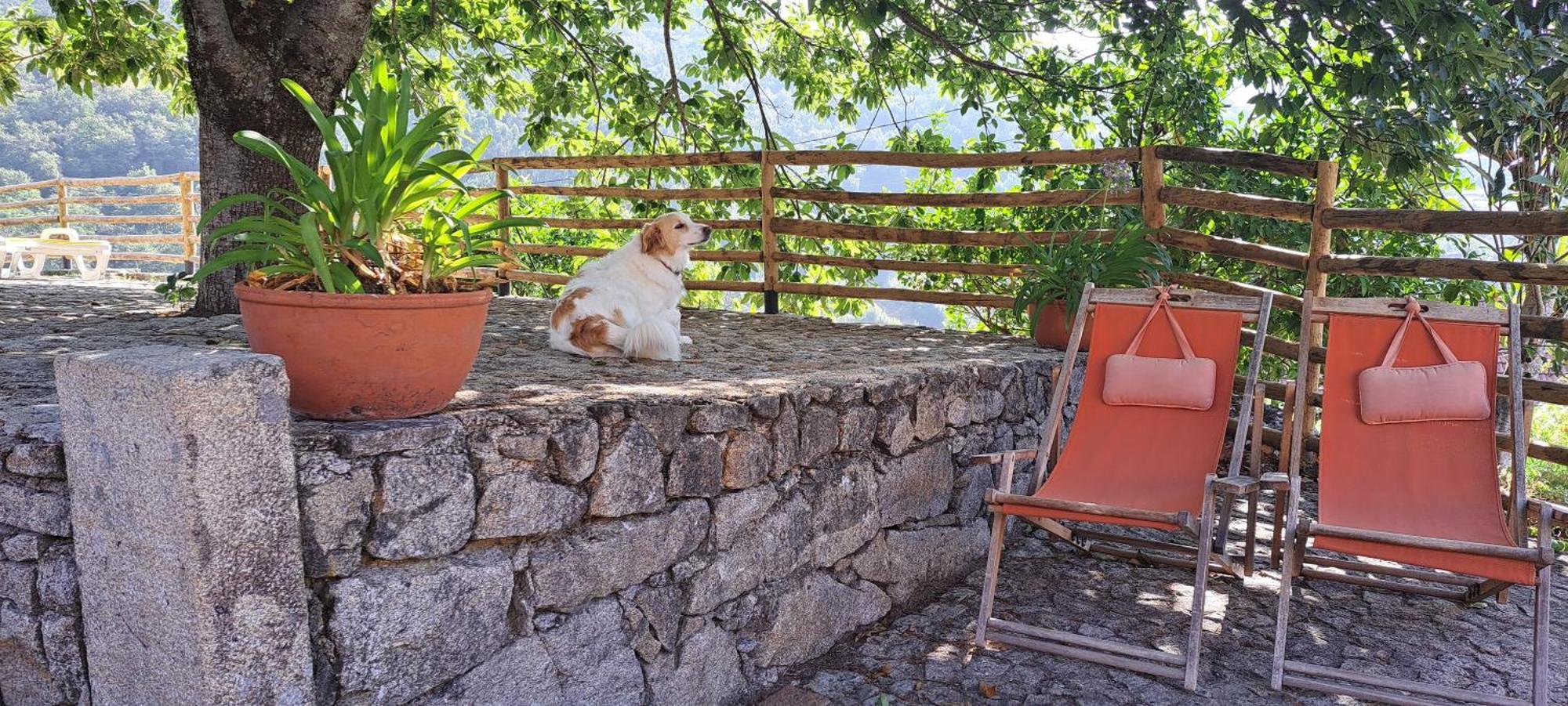 Refugio Dos Cartolas São Mamede de Infesta Екстериор снимка